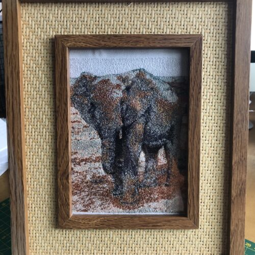 Elephant Picture Framed